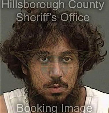 Jesus Gallegos-Martinez, - Hillsborough County, FL 