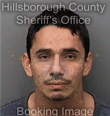 Julian Hernandezclara - Hillsborough County, FL 