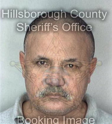 Rodirigo Dominguez, - Hillsborough County, FL 