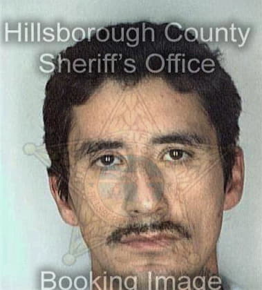 Luis Franciscogarcia, - Hillsborough County, FL 