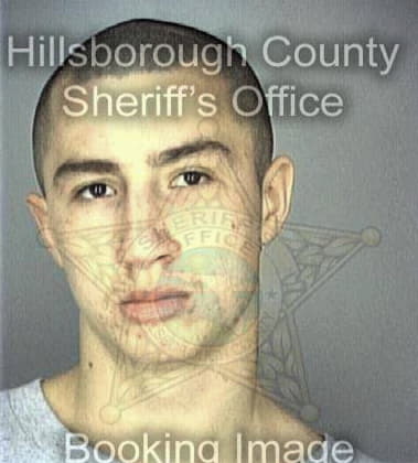 Bridon Gustavo, - Hillsborough County, FL 