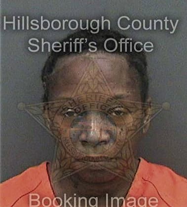 Brittany Hudley, - Hillsborough County, FL 