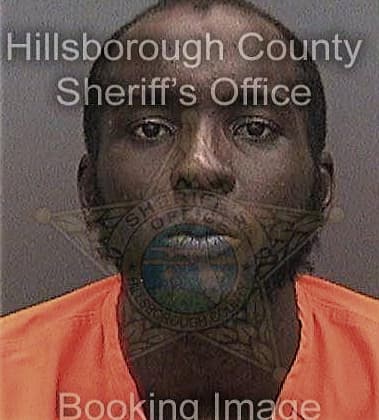 Jamel Platt, - Hillsborough County, FL 