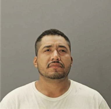 Fidel Reynaga, - Dallas County, TX 