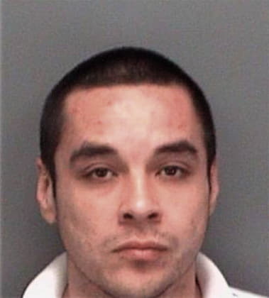 Raymundo Herrerasanchez, - Pinellas County, FL 