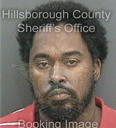 Anderson Homidas, - Hillsborough County, FL 