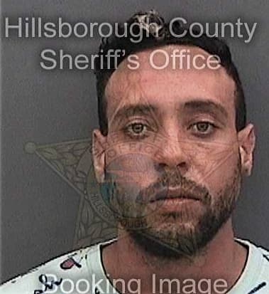 Mitchell King, - Hillsborough County, FL 