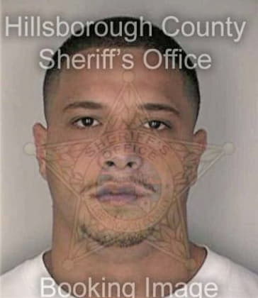 Isaias Reyes, - Hillsborough County, FL 