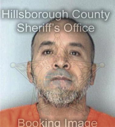 Juan Sanchez, - Hillsborough County, FL 