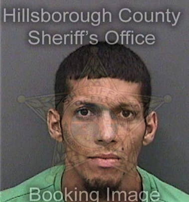 Cody Bowman - Hillsborough County, FL 