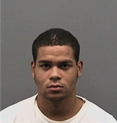 Michael Floyd, - Hillsborough County, FL 