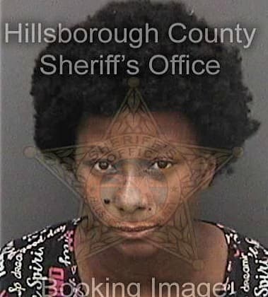 Shirley George, - Hillsborough County, FL 