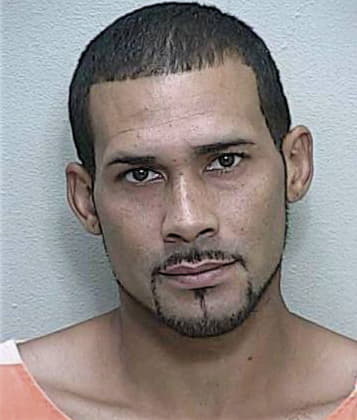 Servando Ancelmo-Lopez, - Marion County, FL 