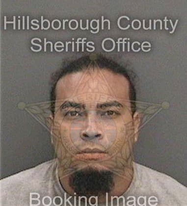 Michael Atkins, - Hillsborough County, FL 