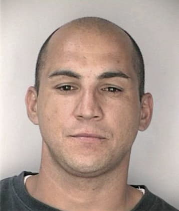 Kenneth Braley - Hillsborough County, FL 