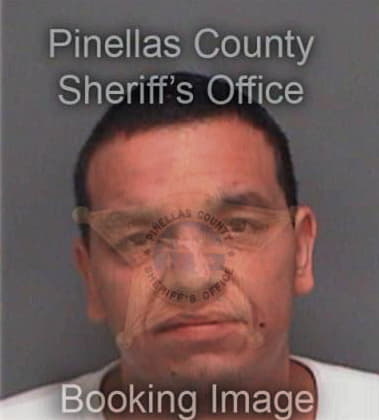 Patrick Clements, - Pinellas County, FL 