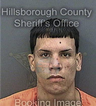 Craig Livengood, - Hillsborough County, FL 