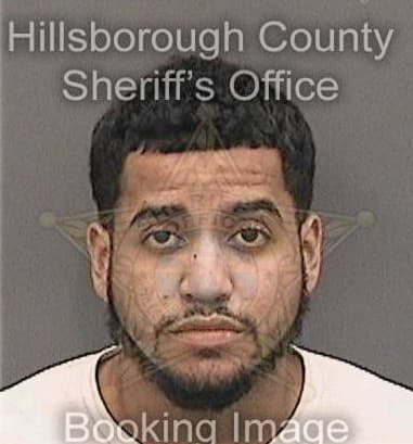 Aaron Miller - Hillsborough County, FL 