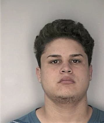 Perry Orlando, - Hillsborough County, FL 