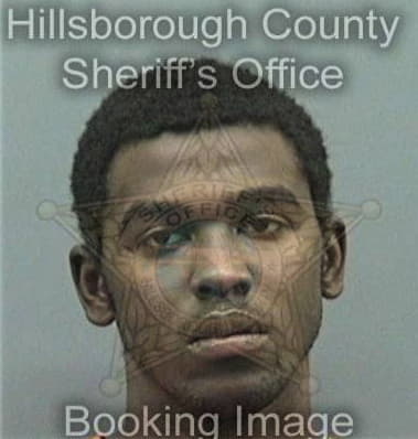 Jarvis Salary, - Hillsborough County, FL 