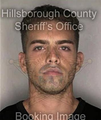 Leobardo Sanchezrojas, - Hillsborough County, FL 