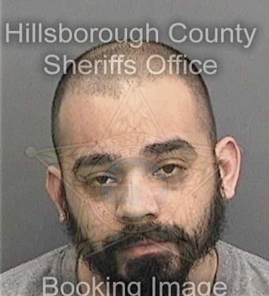 Ahmed Abdallah, - Hillsborough County, FL 