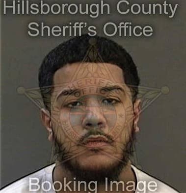 Michael Brannen - Hillsborough County, FL 