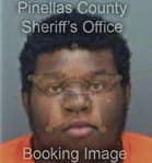 Nicholas Comer, - Pinellas County, FL 