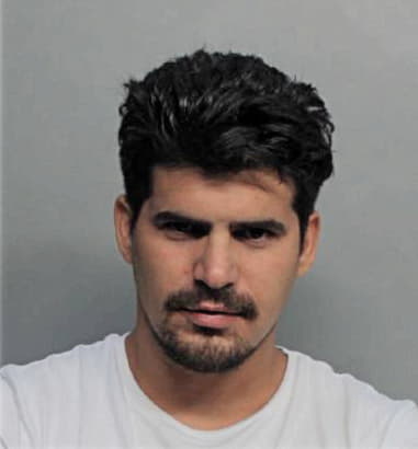 Cristian Diaz-Vasquez, - Dade County, FL 