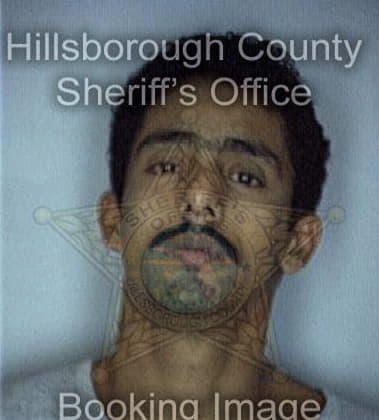 Panfilo Guevara, - Hillsborough County, FL 