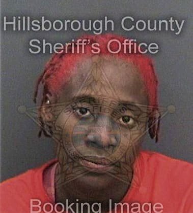 Dymond Sturdivant, - Hillsborough County, FL 