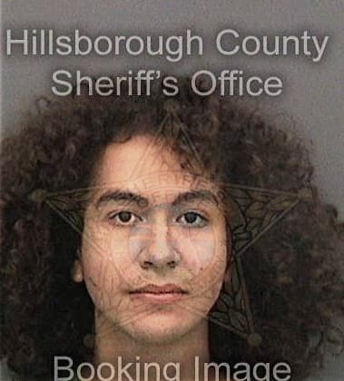 Rizq Alkhatib, - Hillsborough County, FL 