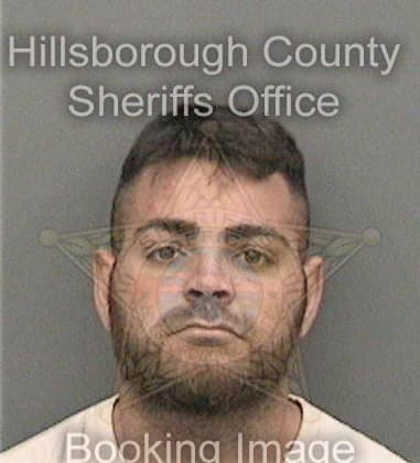 Jason Deleo, - Hillsborough County, FL 