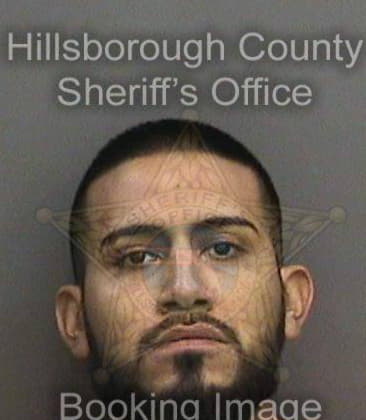 Leonel Garciaisabel, - Hillsborough County, FL 