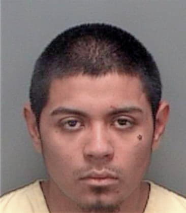 Cesar Martinez, - Pinellas County, FL 