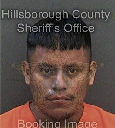 John McLeod - Hillsborough County, FL 