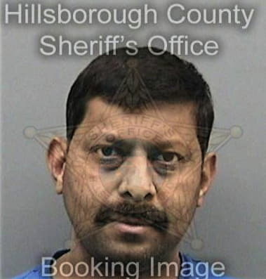 Steffan McSweeney - Hillsborough County, FL 
