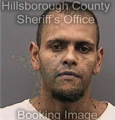 Robert Ruzevich, - Hillsborough County, FL 