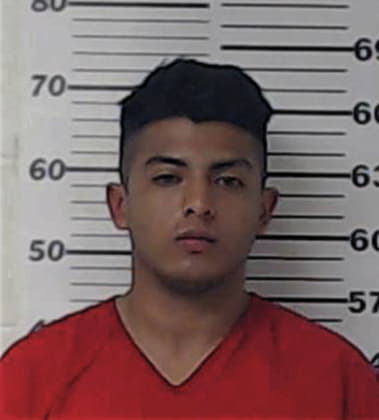 Josue Castro-Pineda, - Henderson County, TX 