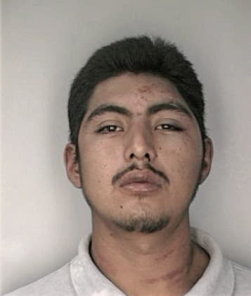 Ismael Figueroacumba, - Hillsborough County, FL 