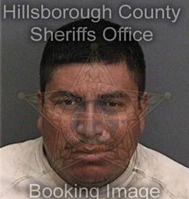 Alexander Guevarez, - Hillsborough County, FL 