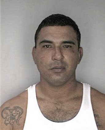 Alejandro Guitierrezcruz, - Hillsborough County, FL 