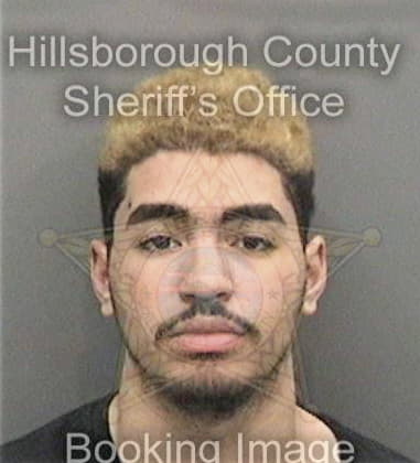 Christian Hashman, - Hillsborough County, FL 