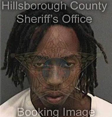 Desmond Johnson, - Hillsborough County, FL 