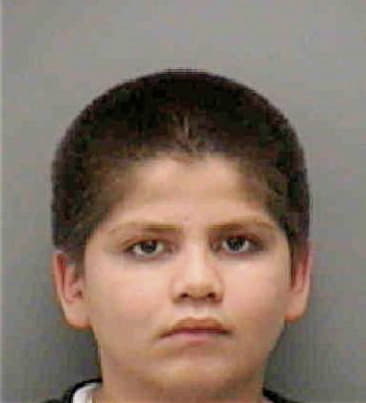 Baltazar Lopez, - Lee County, FL 