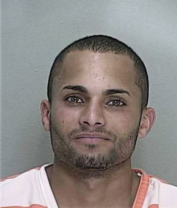 Michael Peluyera, - Marion County, FL 