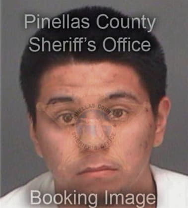 Esteban Rosario, - Pinellas County, FL 