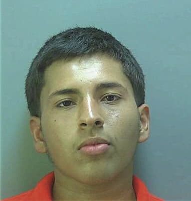 Ramon Mata-Garcia, - Hendry County, FL 