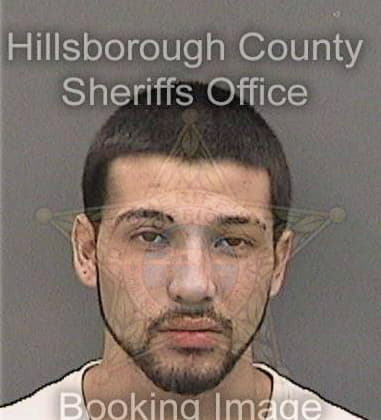 Theodore McGill - Hillsborough County, FL 