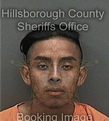 Nathan Young, - Hillsborough County, FL 